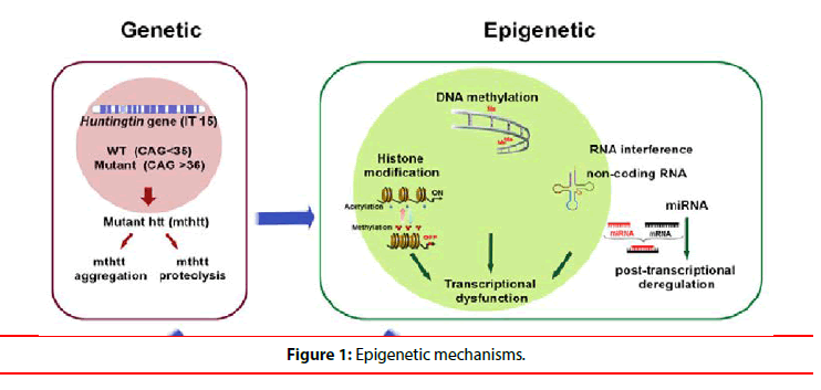ijocs-epigenetic
