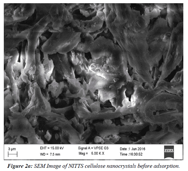 asian-biomedical-cellulose-nanocrystals