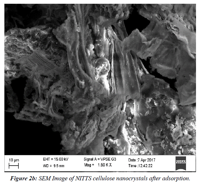 asian-biomedical-cellulose-nanocrystals