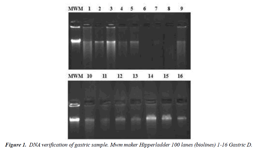 asian-biomedical-gastric-sample