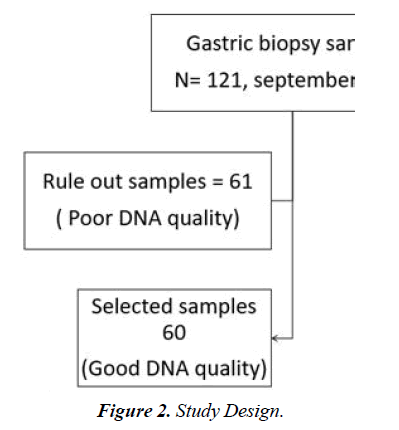 asian-biomedical-gastric-sample