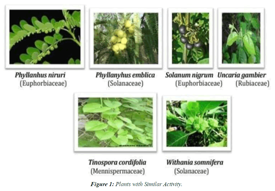 asian-biomedical-similar-activity