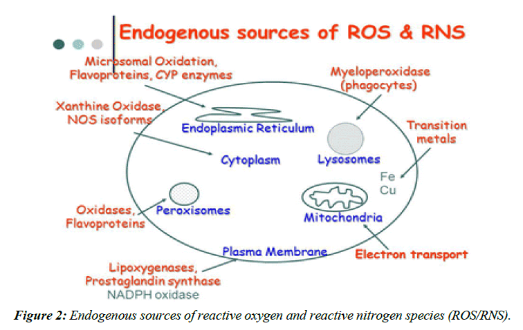 biochemistry-biotechnology-reactive-oxygen