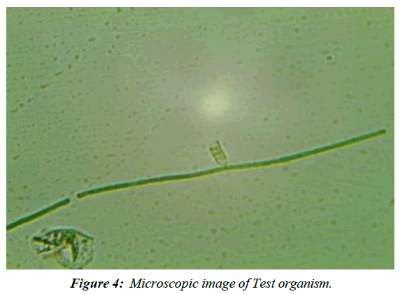 biochemistry-biotechnology-reactive-oxygen