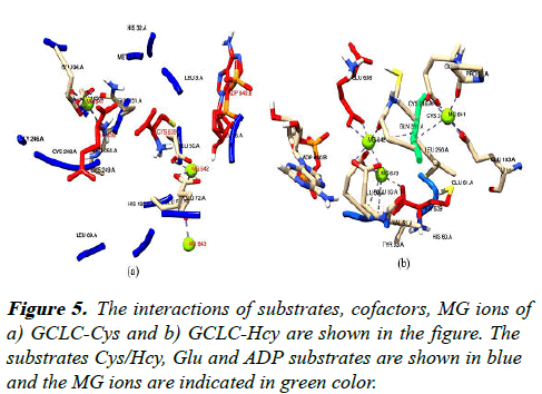 aacovs-cofactors