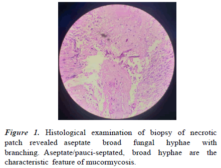 current-pediatric-broad